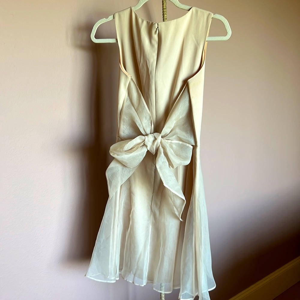Vintage Ann Taylor cCream Party dress with sheer overlay